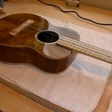Uke Myrtle 01